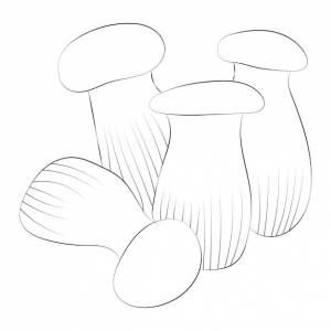 Раскраски грибы premium векторы