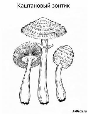 Несъедобный гриб Каштановый зонтик