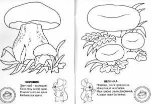 Иллюстрация 2 из 14 для Знаешь ли ты грибы-грибочки?