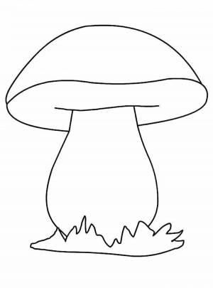 Раскраски Белый гриб
