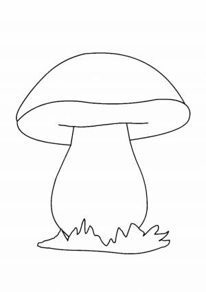 Раскраски Белый гриб для детей