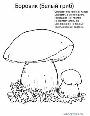 Съедобный гриб Боровик» раскраска для детей