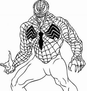 Раскраски Человек паук и веном