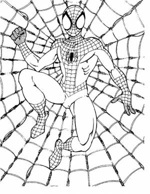 Человек-паук для раскраски
