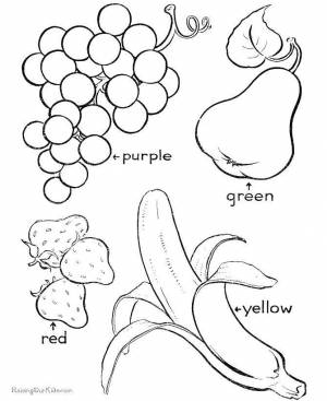 Раскраски Раскраска Цвета фруктов