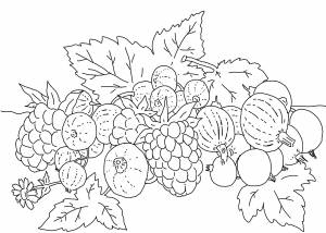 Раскраски Овощи, Раскраска Фрукты с ягодами и овощи раскраски