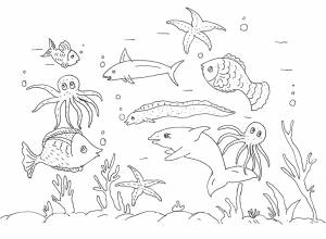 Раскраски Раскраска Подводный мир