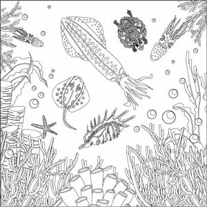 Раскраска подводный мир кальмары и водоросли раскраски антистресс