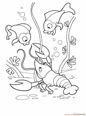 Раскраски Подводный мир Детская раскраска подводный мир, рыбы, раки