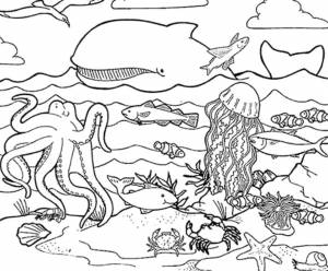 Раскраски Раскраска Подводный мир морское детские