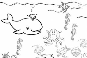 Раскраски подводный, Раскраска Подводный мир Контуры животных