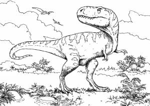 Раскраски рэкс, Раскраска Тираннозавр рэкс динозавр