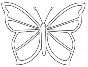 Раскраски Раскраска Укрась бабочку бабочка