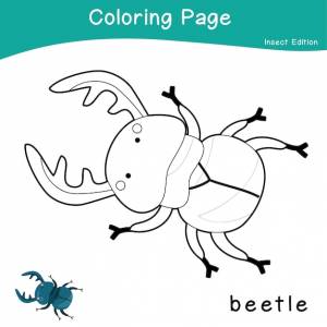 9 раскраски насекомые