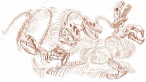 Легендарные животные и монстры