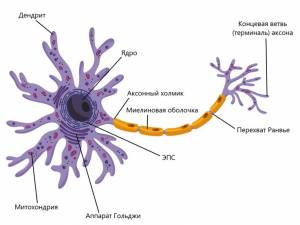 Пин от пользователя VictoriaSien на доске Фэнтези рисунки