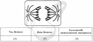 Рассмотрите рисунок