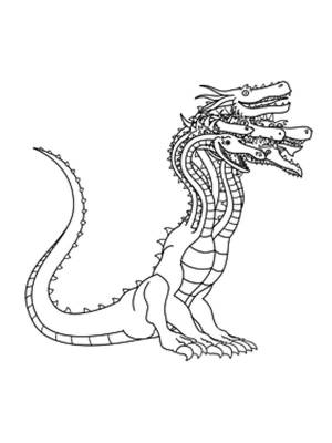 Раскраски Гидра