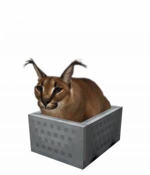 Картинки Шлепа кот