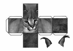 Шлепа рисунок