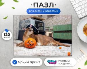 Пазл Шлёпа Большой Русский Кот Floppa Тыква