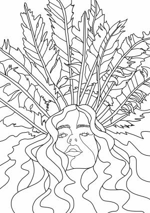 Illustrators
