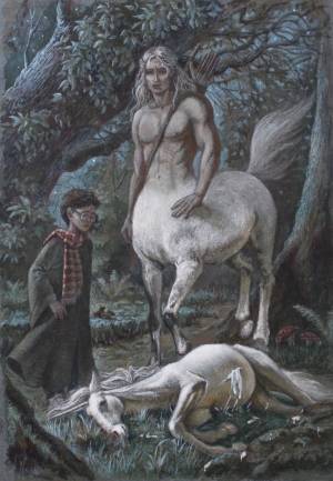 Иллюстрация Запретный лес