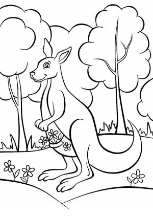 Раскраски кен, poisk