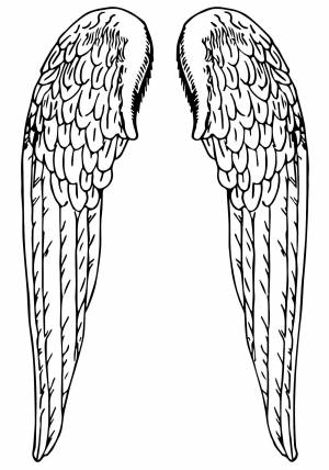 Крылья ангела