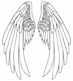 Красивые крылья