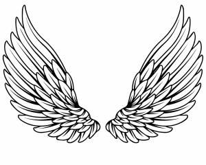 Настоящие крылья