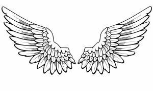 Крылья орла