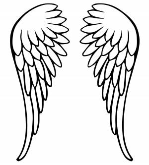 Крылья птицы