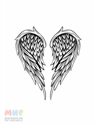 Раскраска Крылья Часть 2