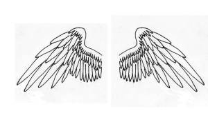 Рисование крыльев