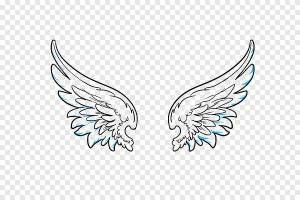 Рисунок Эскиз Ангел, ангел, карандаш, крылья png