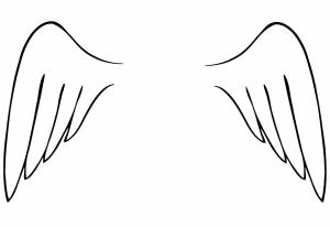 Раскраски крылья птицы