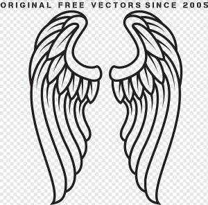 контур крыльев, png