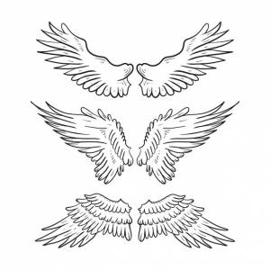 Набор рисования контура крыльев ангела для татуировки