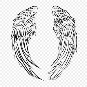 рисунок крылья ангела шаблон текстуры линии произведения искусства PNG , рисунок ангела, рисунок крыла ангела, рисунок крыла PNG картинки и пнг PSD рисунок для й загрузки