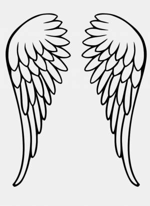 Ангельское крыло рисунок