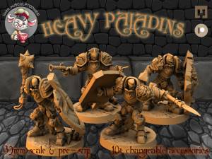 Тяжёлые Паладины