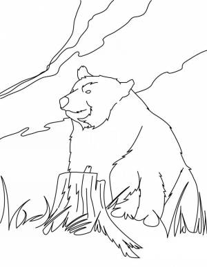 Раскраски Музыкант бианки