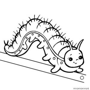 DataLife Engine > Версия для печати > Раскраски собака гусеница