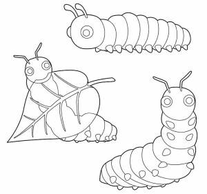 Раскраски собака гусеница