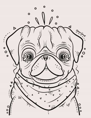 Раскраска собака мопс