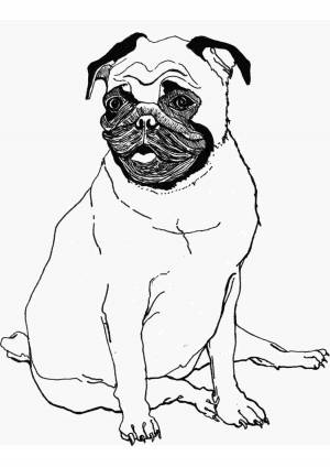Раскраска мопсики