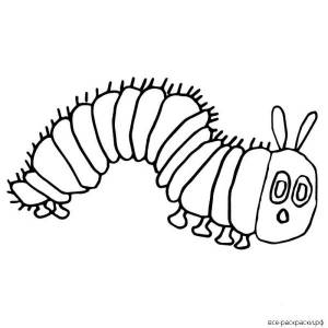 DataLife Engine > Версия для печати > Раскраски собака гусеница