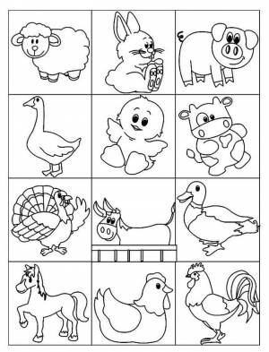 Раскраска Маленькие животные, которые живут на ферме