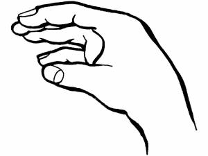 Раскраски Раскраска Рука Строение тела